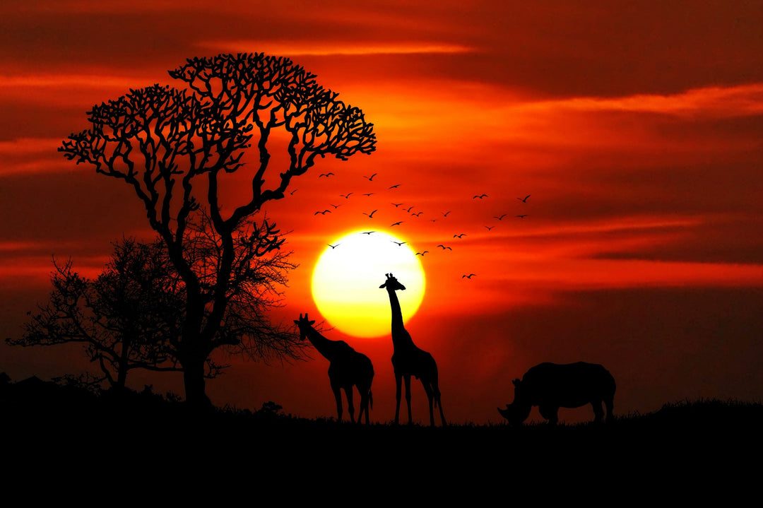 Best African Safaris to Go On + What to Pack
